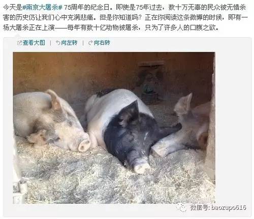 因为一件外套发生争执,杨幂又做了一件让网友生气的事