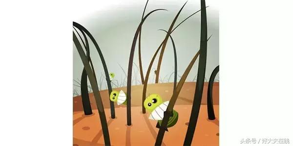 怎么解决公共厕所坐便问题,公厕蹲便会感染疾病吗