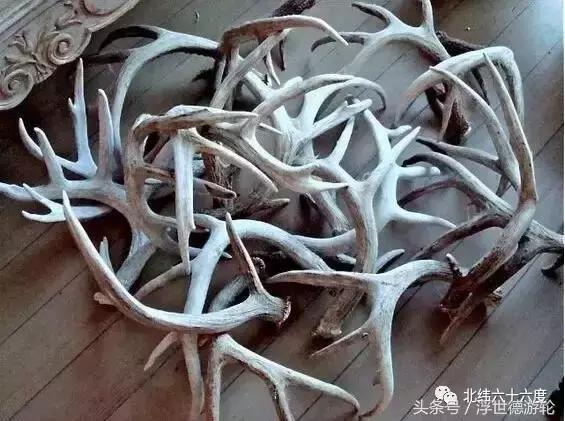 去北欧最值得购买的东西，无需攻略，一次全部告诉你！