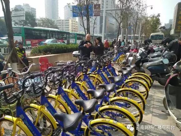 关于共享交通工具的问题,现在共享交通工具有几种