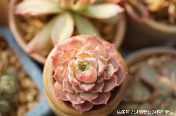 入坑一年小说,入坑一年