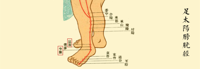 字里藏医原文,字里藏医简介