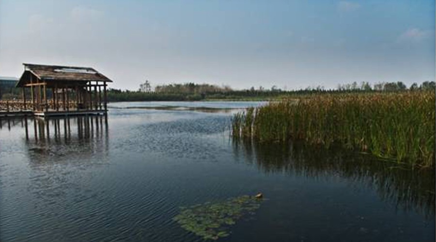 寒假足球青训训练营线上报名,足球小将特训营