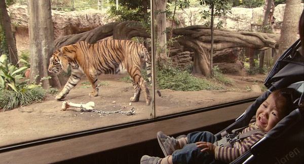 阳光宝贝纪录片照片,阳光宝贝非洲纪录片