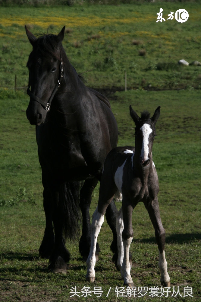 这些冷知识你可能永远不知道,这些冷知识你绝对不知道