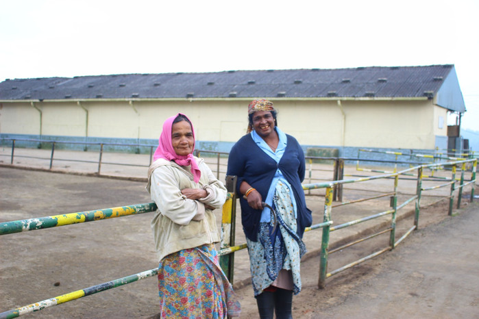 斯里兰卡旅游7天多少钱,去斯里兰卡最便宜方法