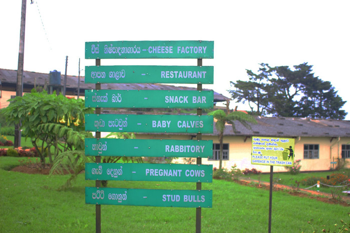 斯里兰卡旅游7天多少钱,去斯里兰卡最便宜方法