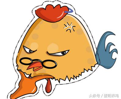 鸡病诊断与防治课件,鸡病快速诊断大全