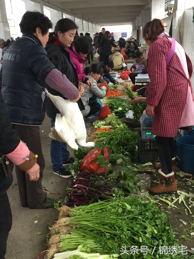在北方不容易买到的时令蔬菜,这些特色蔬菜你见过吗