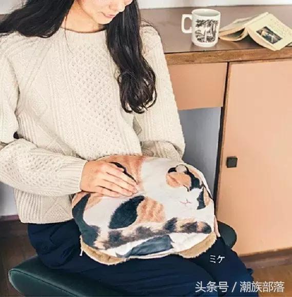 猫控保健,猫控送什么礼物