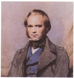 金秀贤杨紫有合作吗,金秀贤跟雪莉演的啥电影