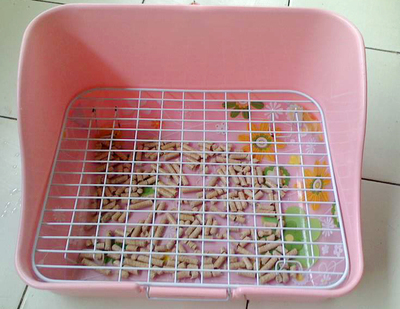 新手养兔子的正确方法,教新手养兔子的视频