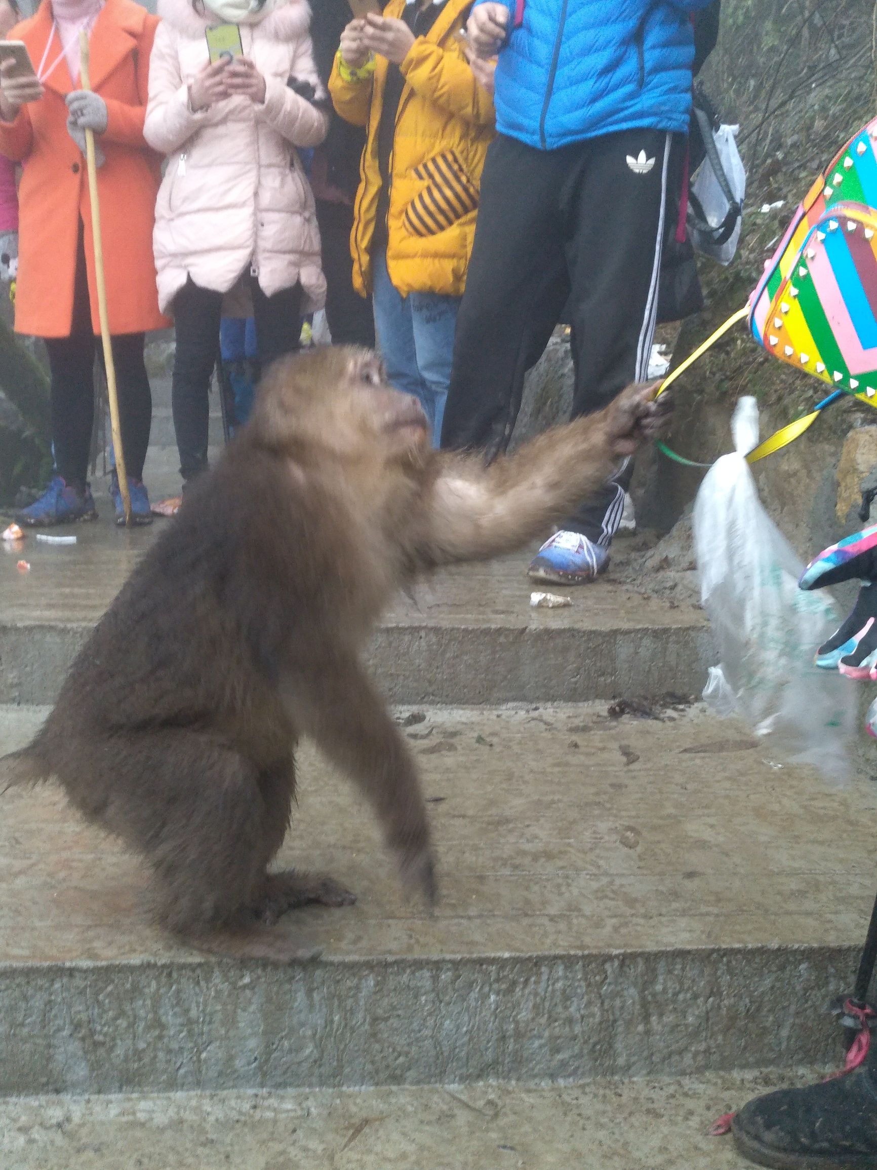宁夏到陕西的沿途旅游,从宁夏自驾游到重庆多长时间