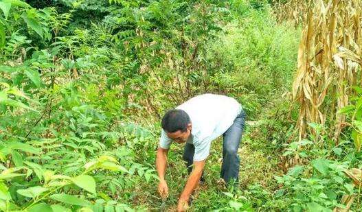 不为钱只为名,不为钱不为名只为更好的自己