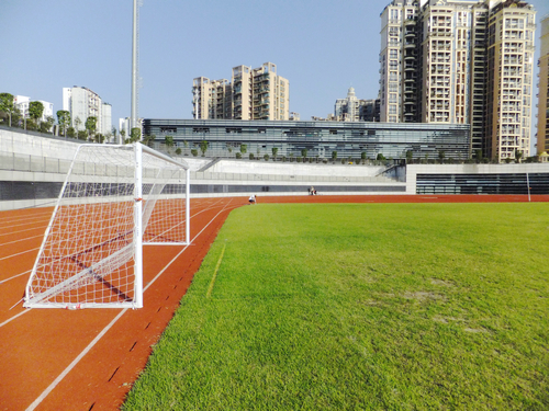 深圳宝安24小时足球场,深圳宝安体育场草皮