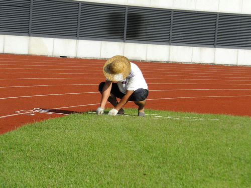 深圳宝安24小时足球场,深圳宝安体育场草皮