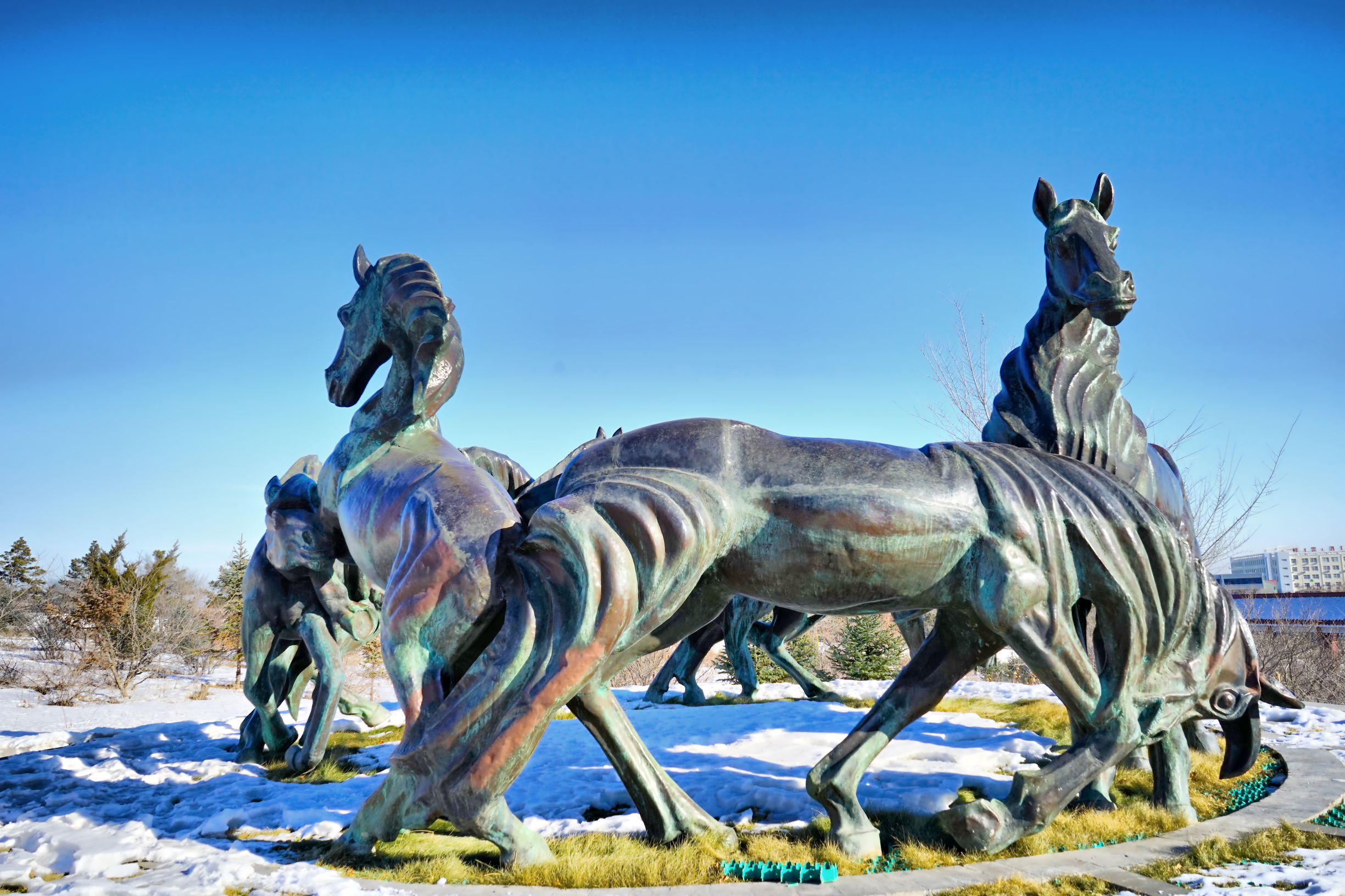 穿越内蒙古大草原雪景,来内蒙古大草原看雪