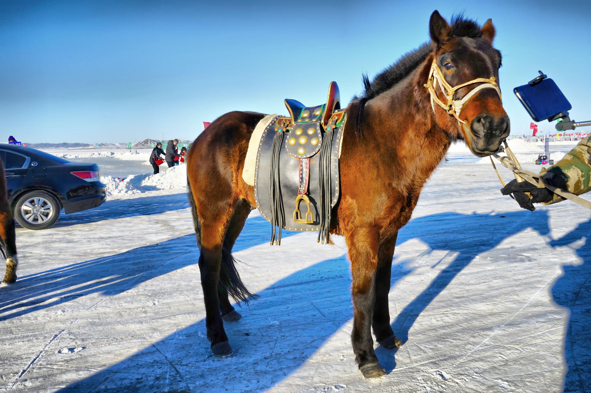 穿越内蒙古大草原雪景,来内蒙古大草原看雪