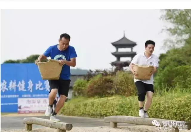 南阳十大热议新闻,南阳体育新闻