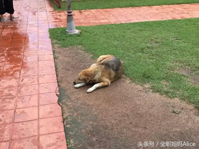 带上宝宝去泰国旅游,泰国旅游带宝贝去哪里