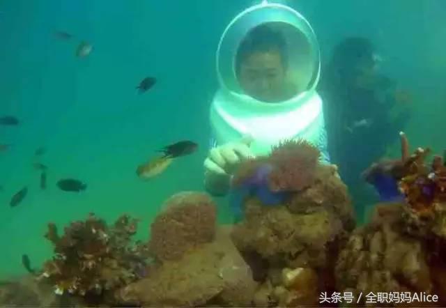 带上宝宝去泰国旅游,泰国旅游带宝贝去哪里