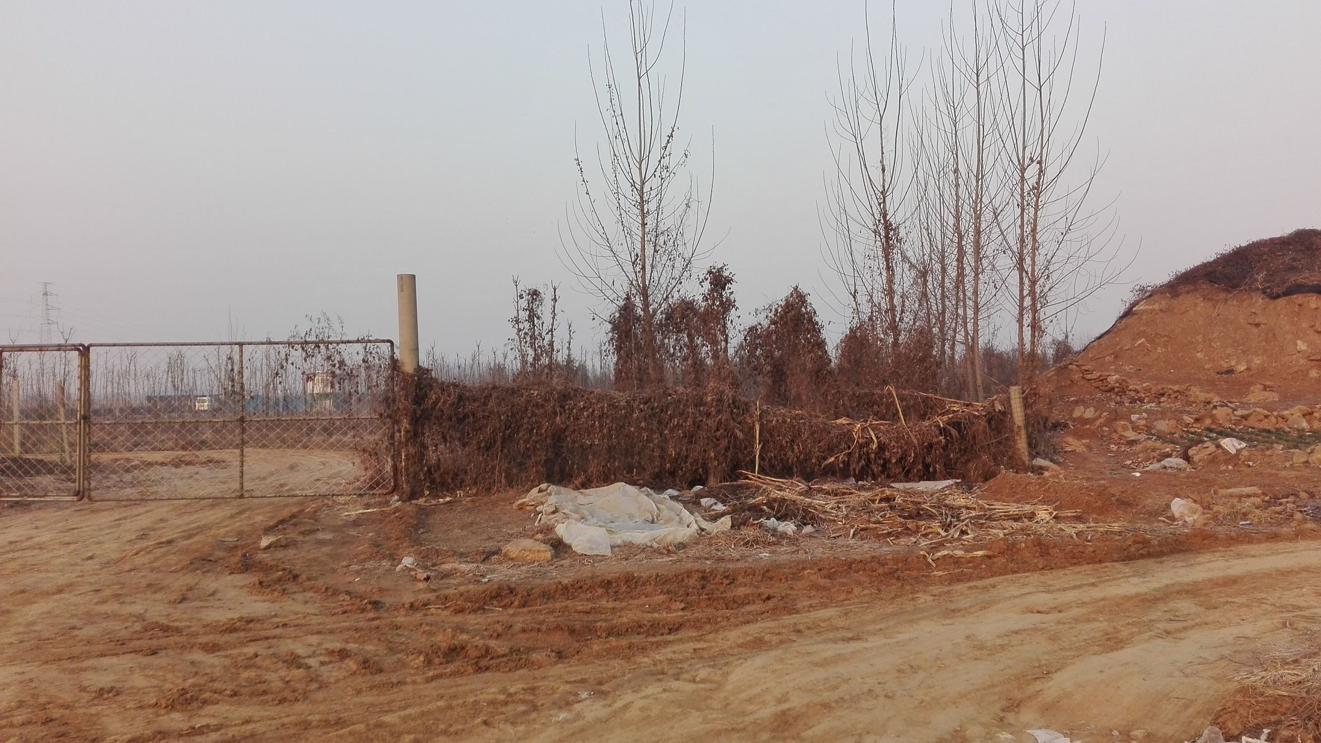 跑完步腿疼如何拉伸恢复,跑步后腿疼的拉伸动作