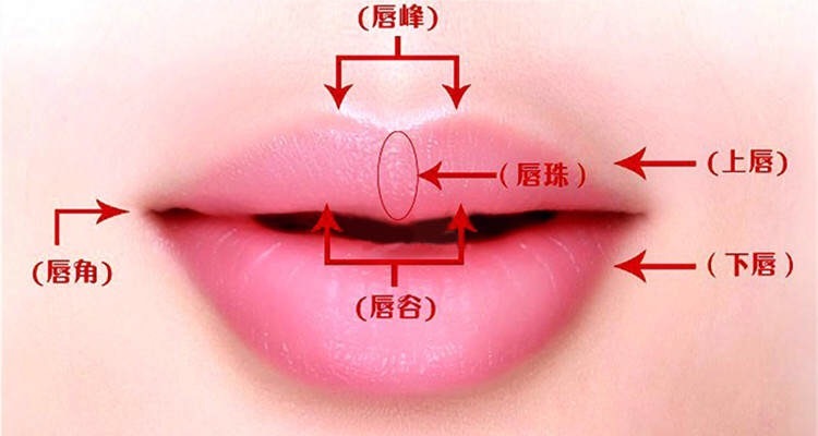 薄嘴唇画唇线最好看,厚嘴唇画唇线教程