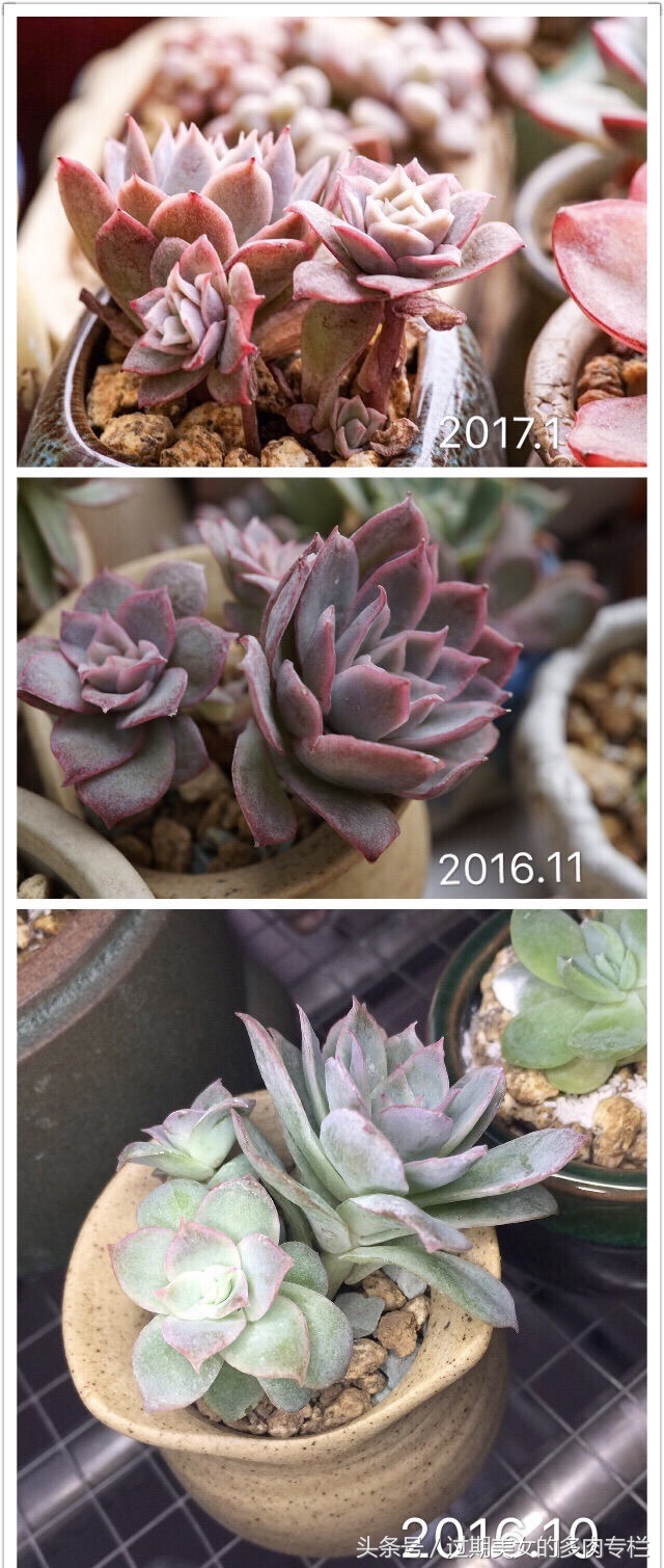 最爱对比图！对比后更惊艳！