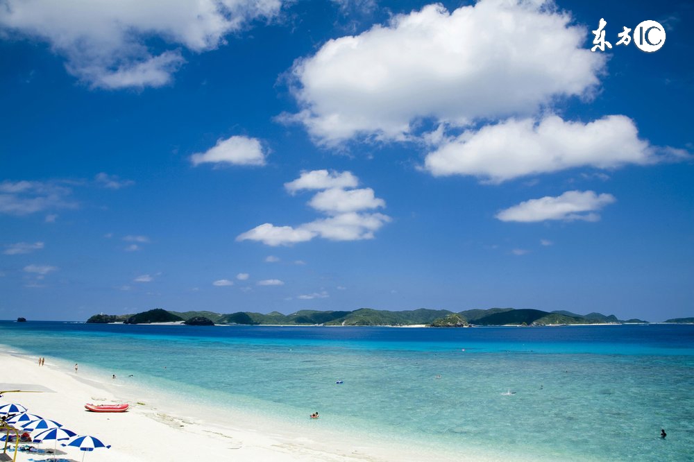 丫的！你智障为什么要我买单？！