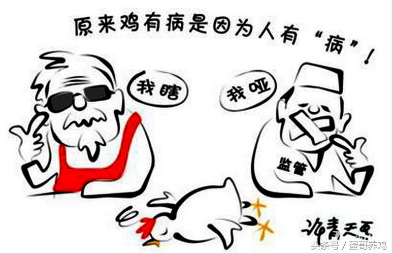 鸡病诊断与防治课件,鸡病快速诊断大全