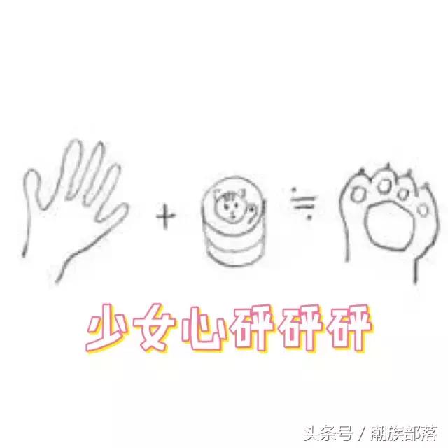 猫控保健,猫控送什么礼物