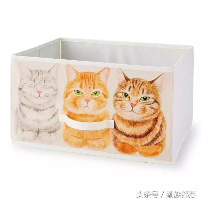 猫控保健,猫控送什么礼物
