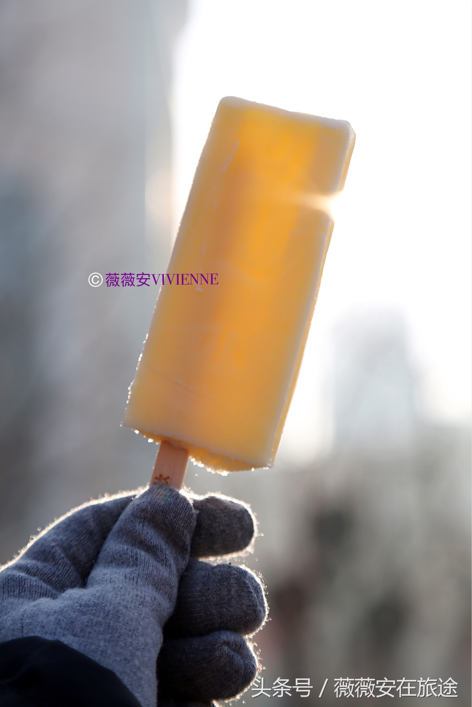 北国冰城之旅,奔赴冰城哈尔滨感受北国浪漫