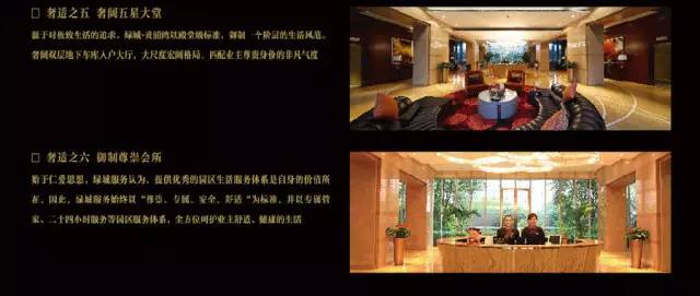 “好房子101个细节”2016中国卖得最好的100个楼盘秘密