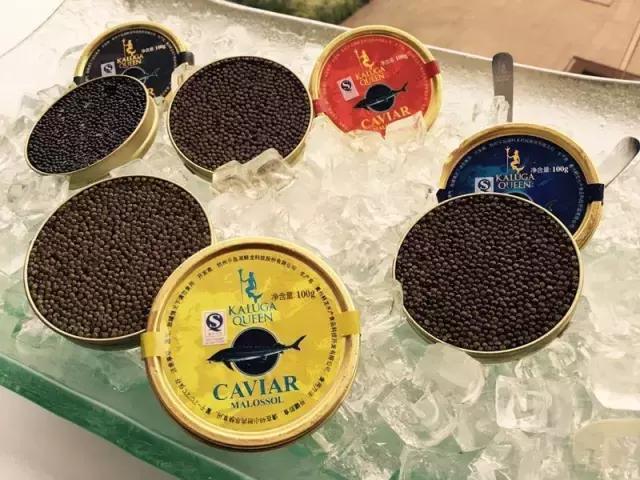 深海鱼子酱的功效与作用,来自深海的鱼完整版