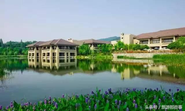 中国亲子度假酒店排名,优选亲子酒店指南