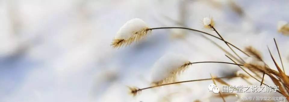 大寒和寒潮一样吗,今日大寒有多冷