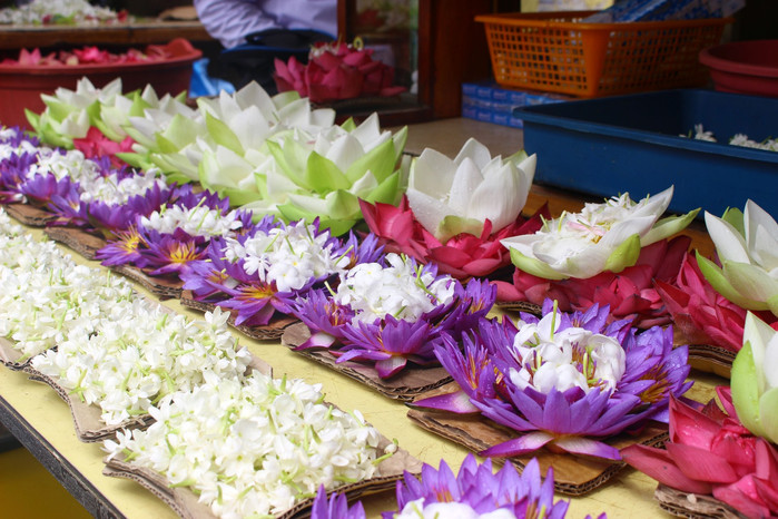 斯里兰卡旅游7天多少钱,去斯里兰卡最便宜方法