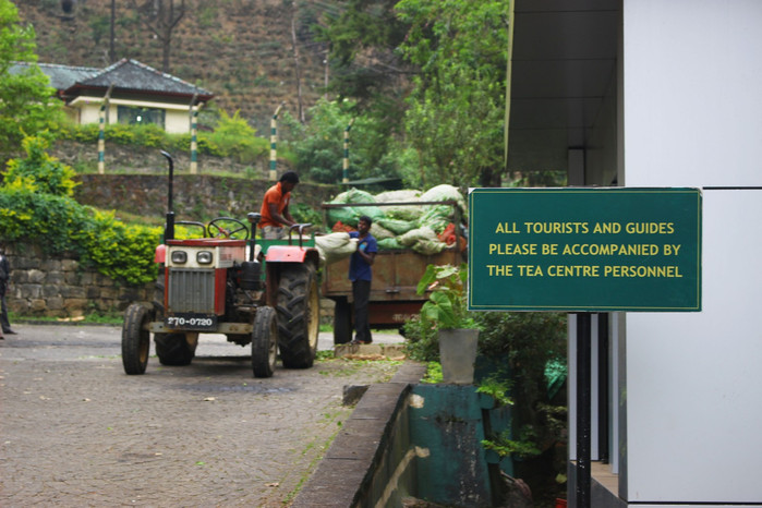 斯里兰卡旅游7天多少钱,去斯里兰卡最便宜方法