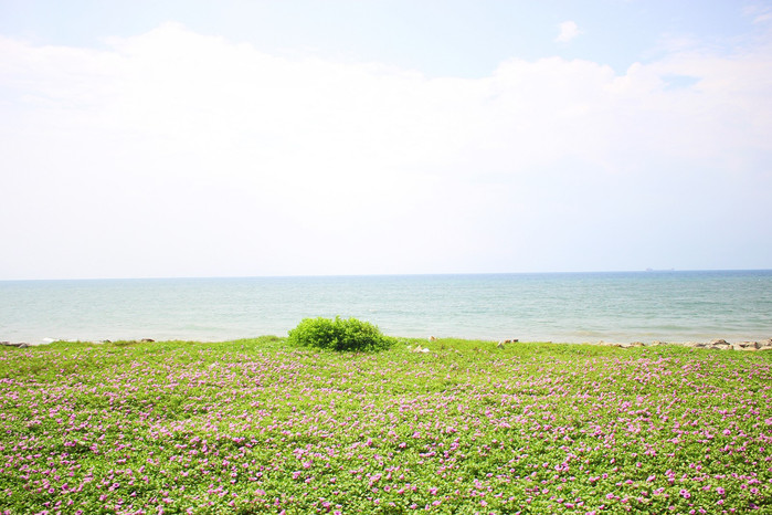 斯里兰卡旅游7天多少钱,去斯里兰卡最便宜方法