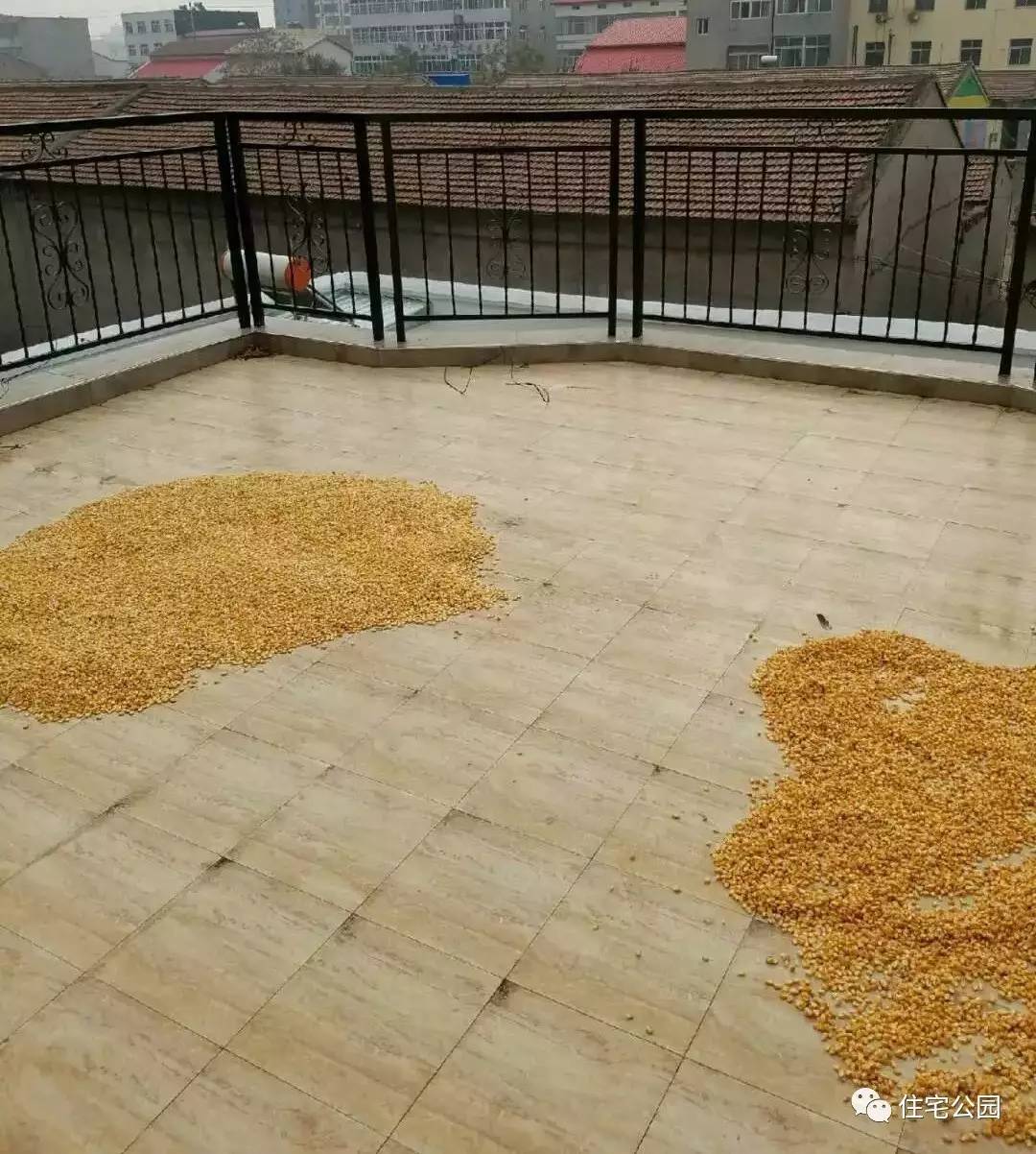 他花25万城郊盖栋轻钢房为何却羡煞了100万城市买楼的发小？