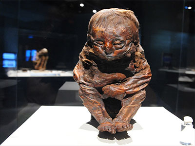 十二星座代表的地狱守护者,十二星座心里的怪物