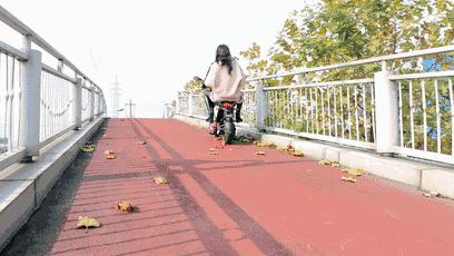 电动车电池鼓了修复方法,电动车蓄电池修复仪