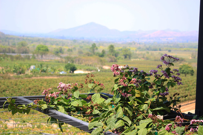 泰国曼谷芭提雅华欣7天自由行 (泰国华欣与芭提雅是一个地方吗)