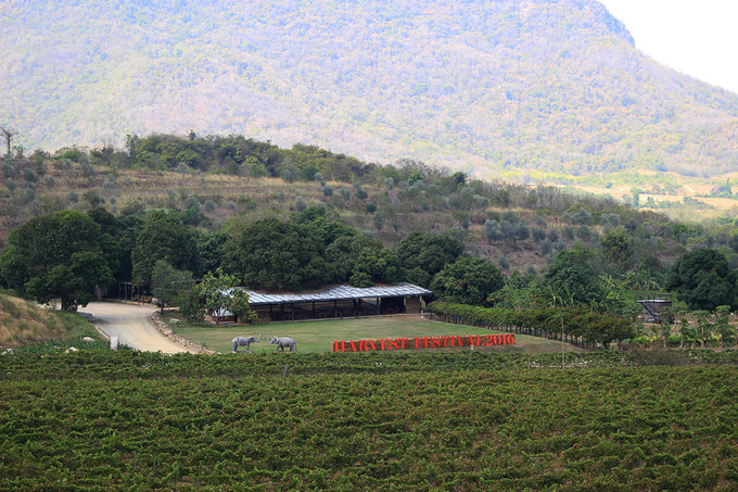 泰国曼谷芭提雅华欣7天自由行 (泰国华欣与芭提雅是一个地方吗)