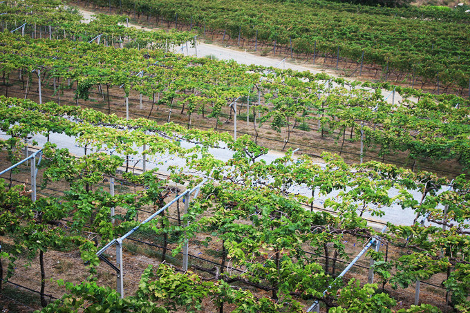 泰国曼谷芭提雅华欣7天自由行 (泰国华欣与芭提雅是一个地方吗)