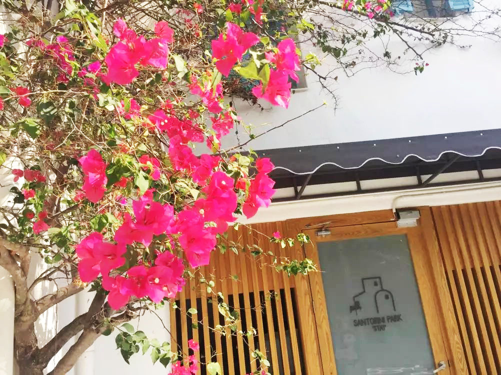 泰国曼谷芭提雅华欣7天自由行 (泰国华欣与芭提雅是一个地方吗)