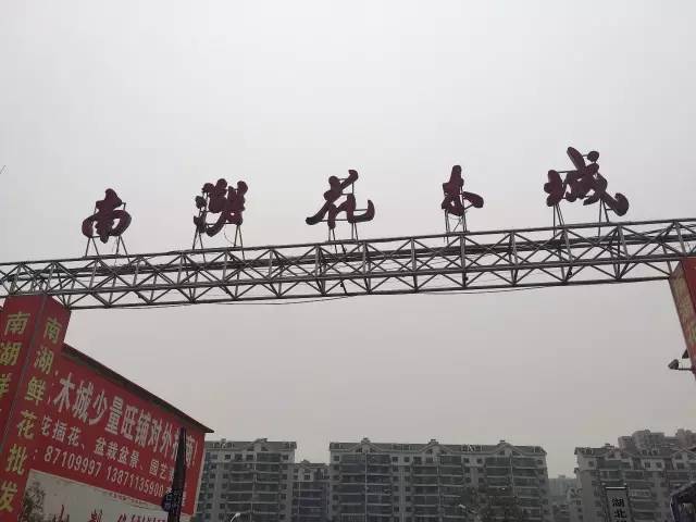 武汉最大的鲜花批发市场,武汉最实惠的鲜花交易市场