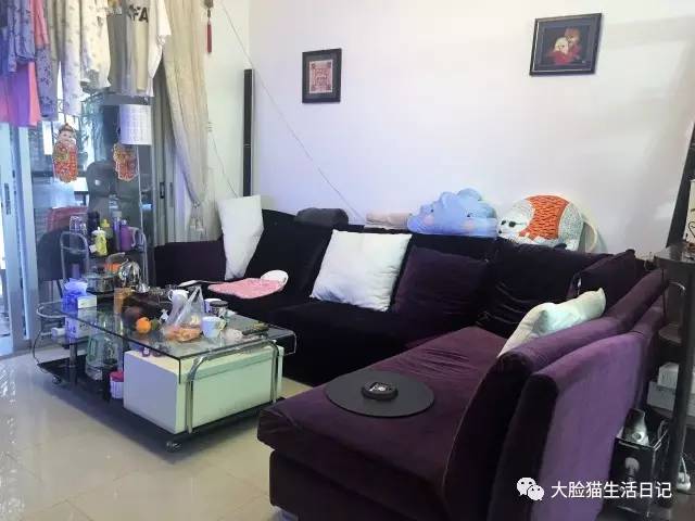 最省钱的宜家风格,宜家风格的装修