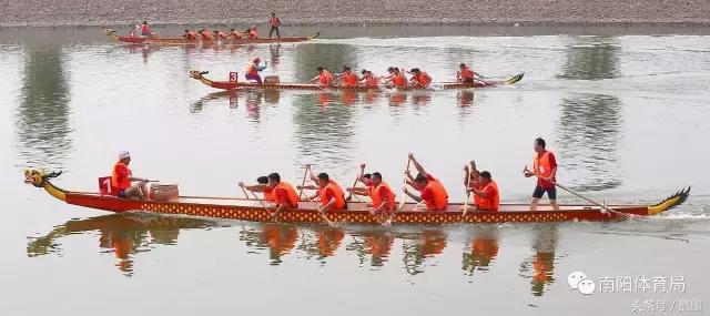 南阳十大热议新闻,南阳体育新闻